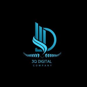  3Q DIGITAL COMPANY