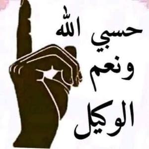  ناصر الشويات