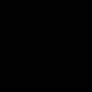  taleen Al deeb