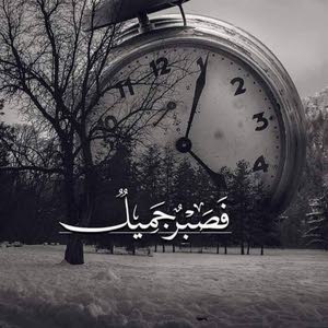  nazem alsaoud