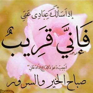  rawad shelbayeh
