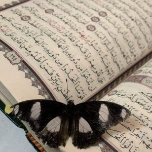  في ضحكتي تاهت أحزاني