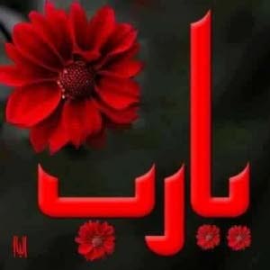  الأستاذ عدي