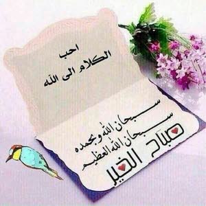  محمد ابو رواد الخلايله الخلايله