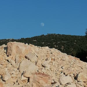  اراضي للبيع