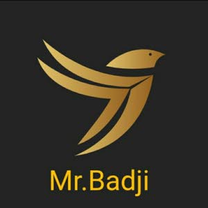  مستر بادجي / Mr Badji