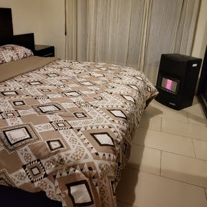  مالك عليان