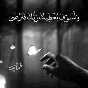 abo ameer