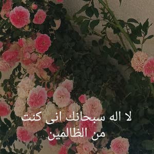 ابو محمد عليان
