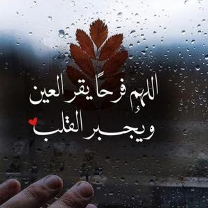  omkhaled alsaleh