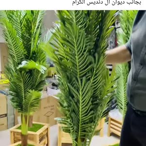  ادهم الاشقر