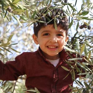 سعدو هاشم سعد الدين البغدادي