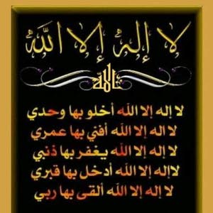  مهند