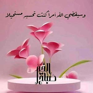  محمد علي حسن سعد بدير