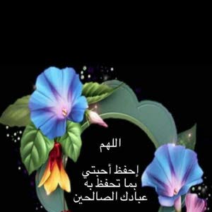 امير محمد