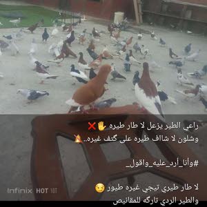 أبو هيثم