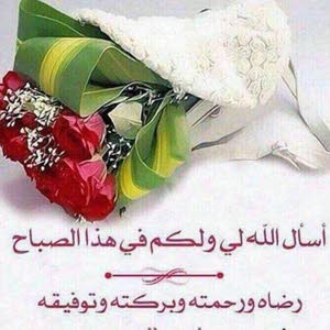  ثريا صوان