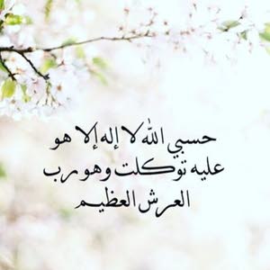  محمد العلي