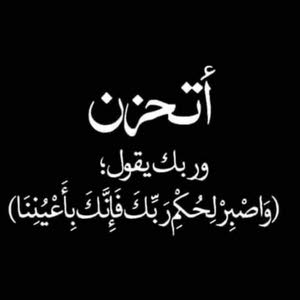  ابو حميد