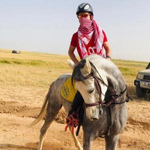 belal Alsous