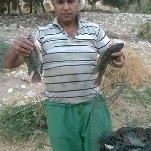  hakam atrooz