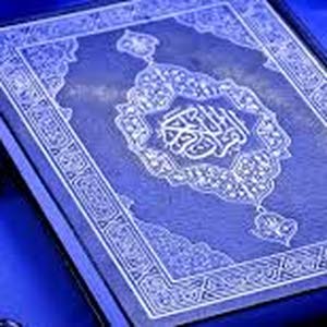 مالك  البطه