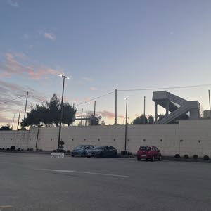  Mohammed Tamaari