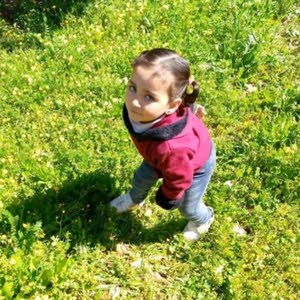  كرم هنانده