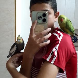  احمد الوريكات