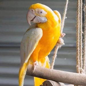  معرض التميز M.S