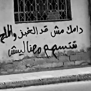  محمد ابو غليون