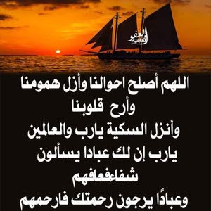  علي الحوامدة