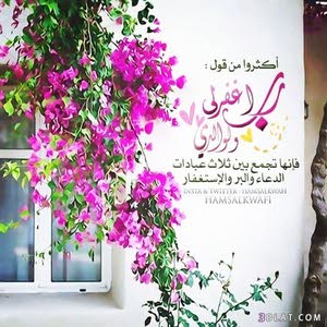  عبدالكريم والي