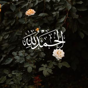 Hiba