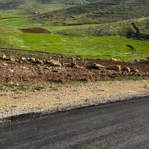  احمد المشاقبة
