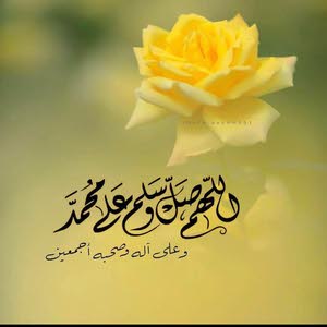 Faisal D