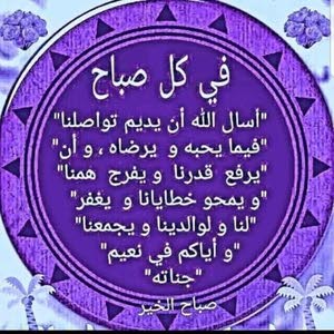  احمد الجيزاوي