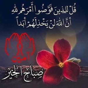 احمد القواسمي