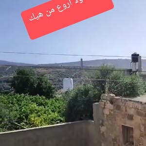 مأمون برهم        0599917040