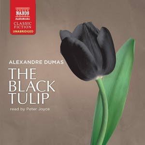  black tulip