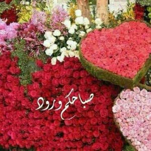  ابو حمزة