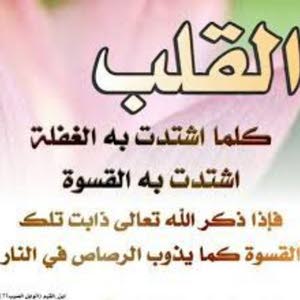  نور الدين ابو اللبن