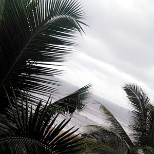  naim