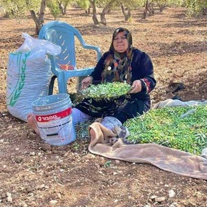  ابو عبدالله الشمالي