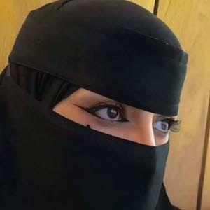 الطير المسافر