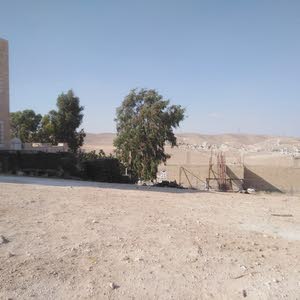محمد النجار