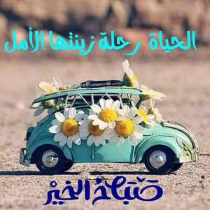  سليمان ابو محمد الجمال