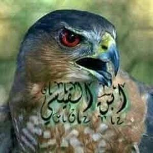  ابوربيع القيسي