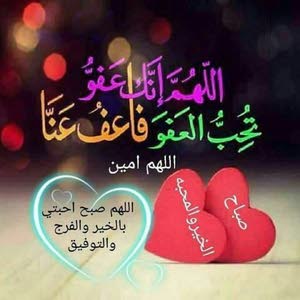 Loai Ali