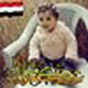 أبو عمر جياش